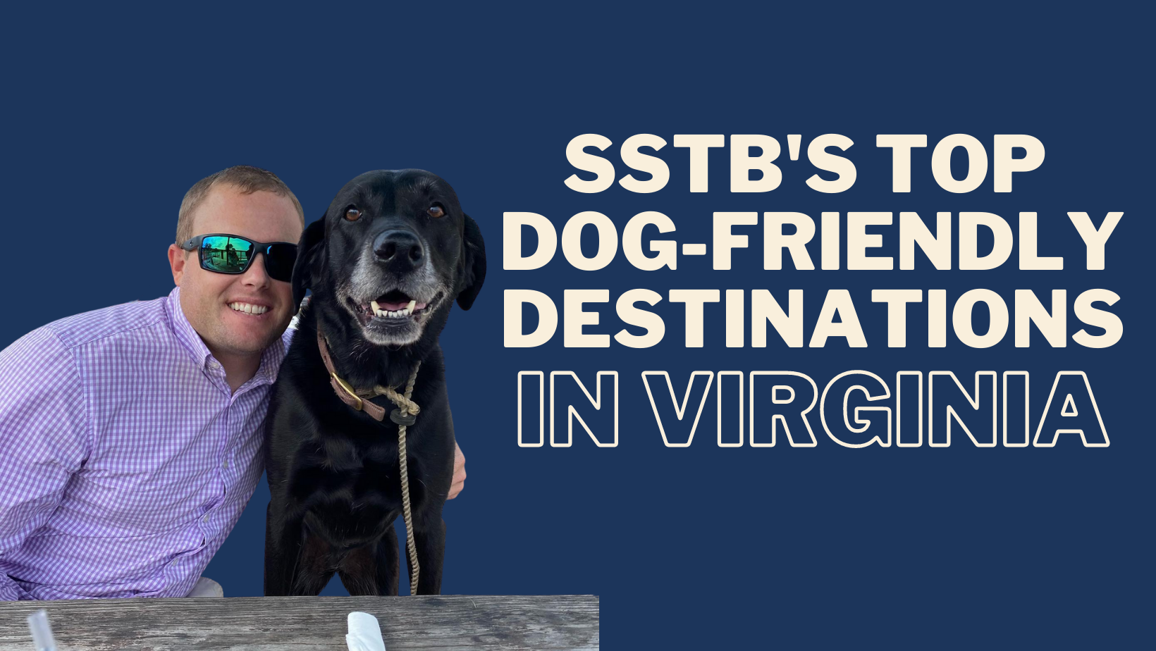 Top Dog Friendly Spots In Virginia | THINKBIG! Marketing
